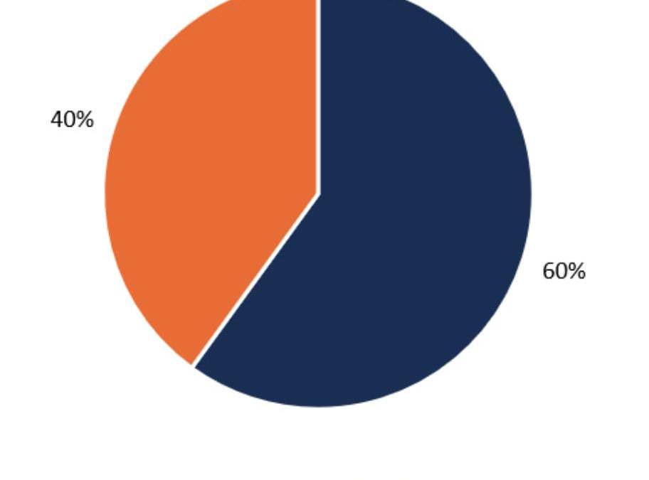 ‘Best’ Stock or Dividend Income Balanced Portfolios vs. Best Balanced Allocation Fund